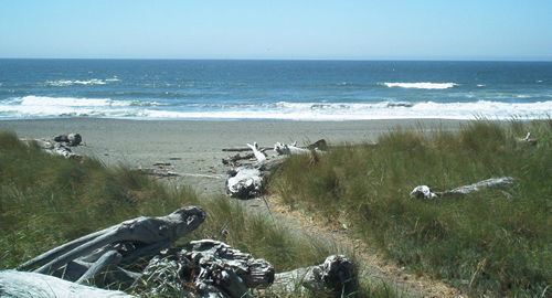 Beachcombers Hotel 3*